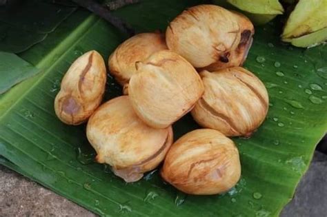 gedli fruit|15 health benefits of this amazing fruit – Manna from .